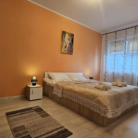 Elissa Apartment ブラショフ エクステリア 写真